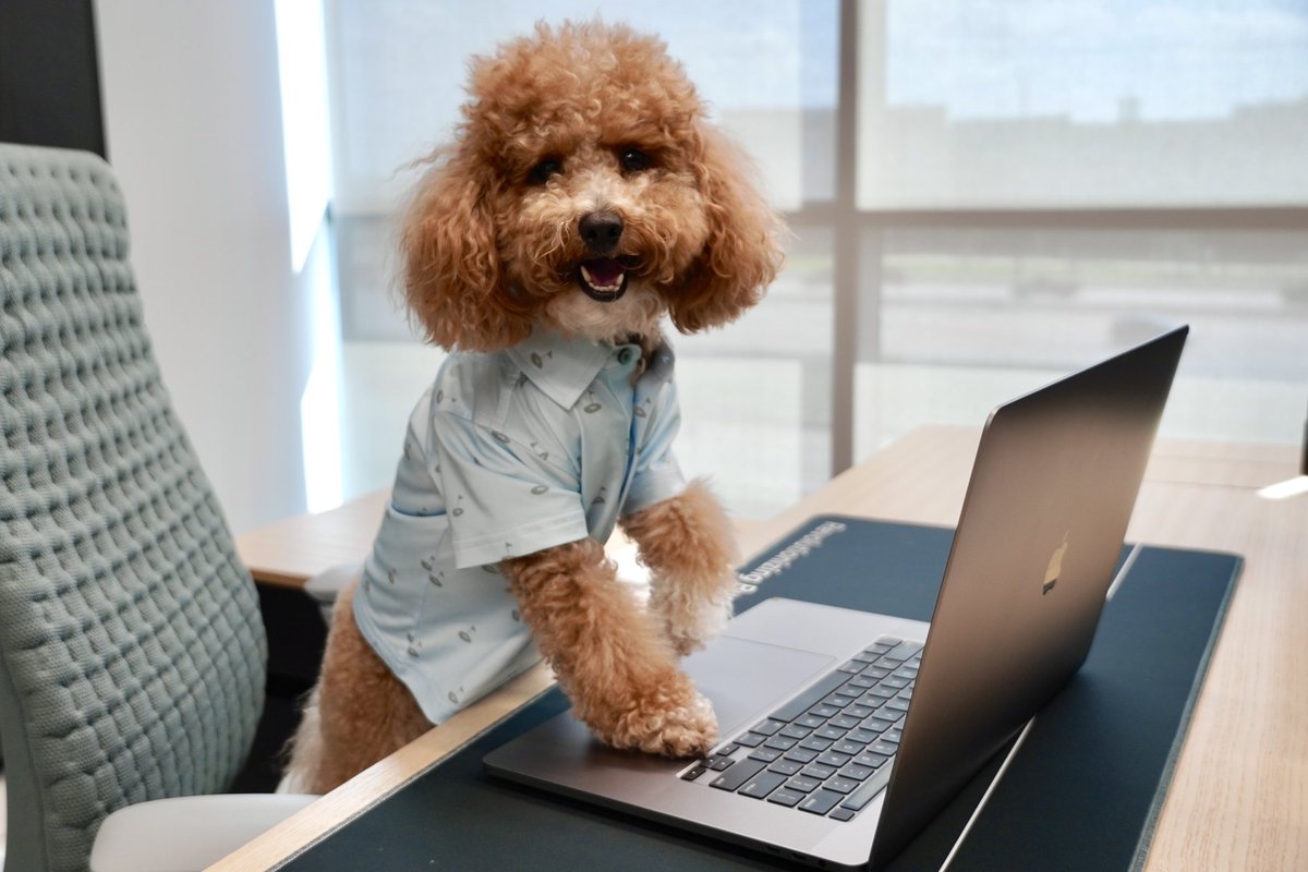 Modisoft tweet media