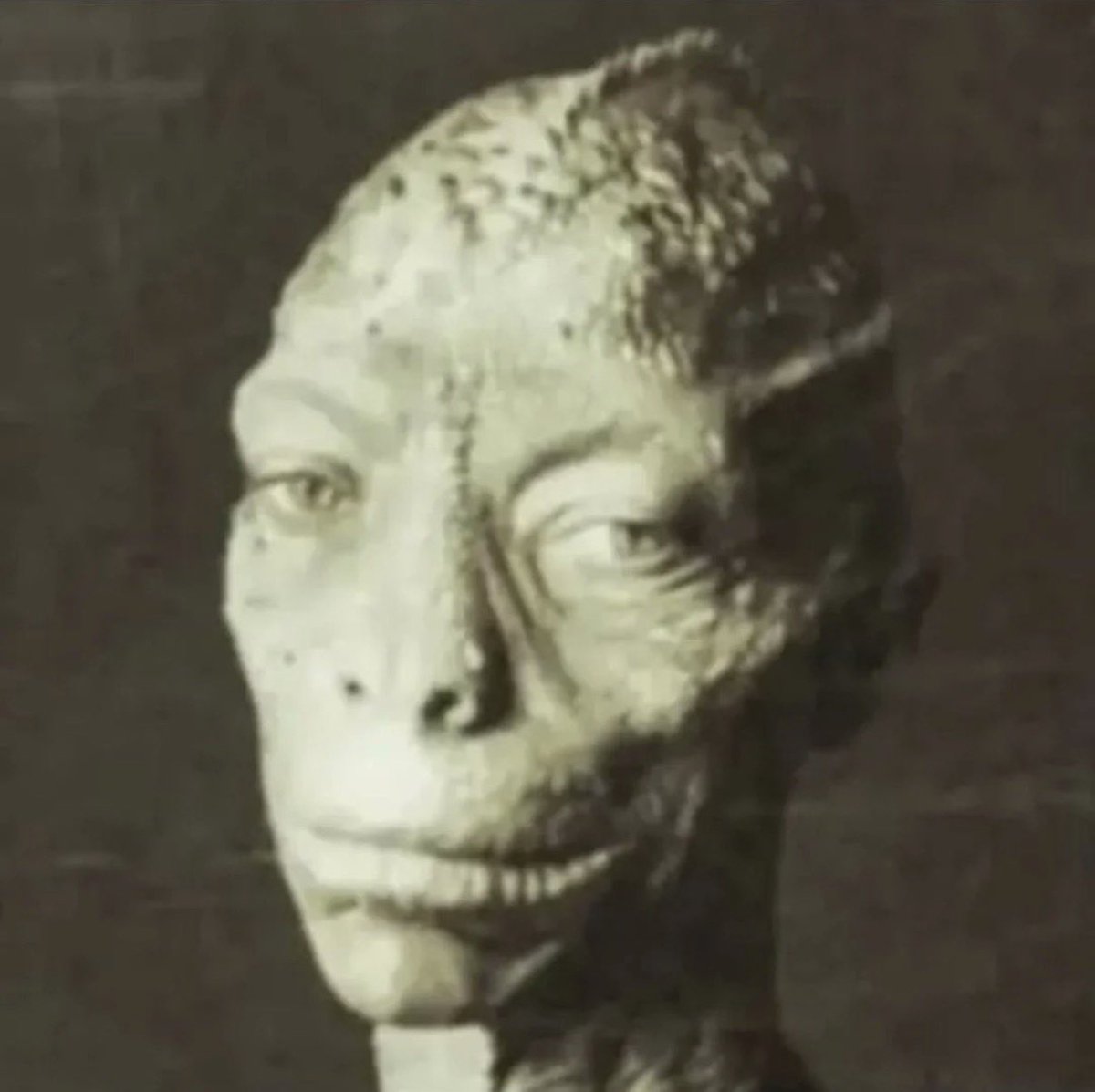 Jon Stewart tweet media