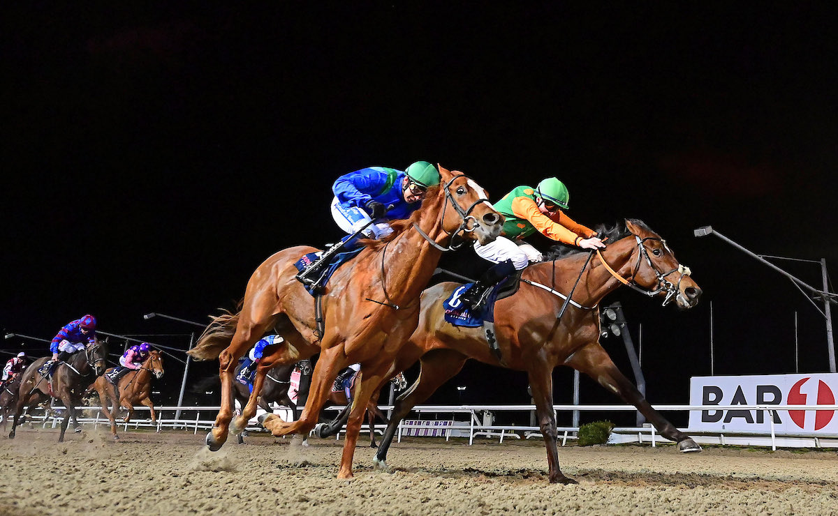 Stephen Thorne Racing tweet media