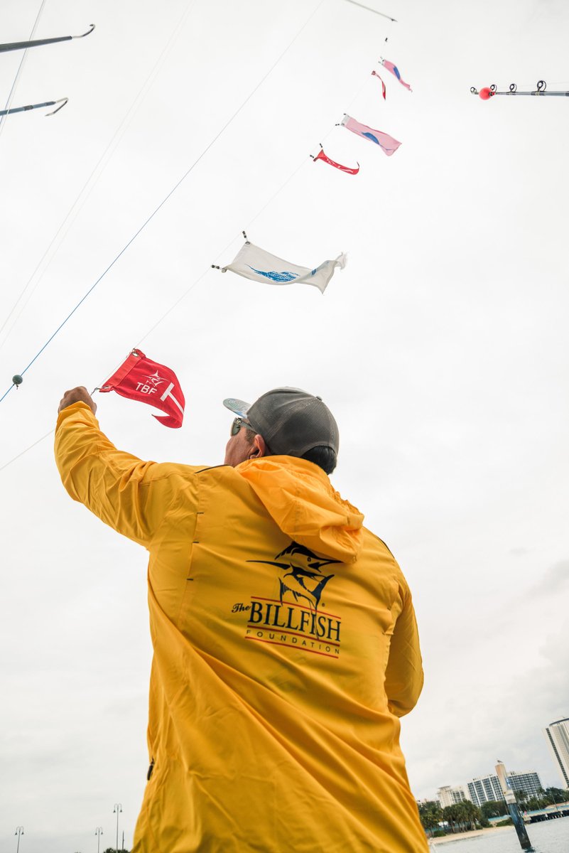 The Billfish Foundation tweet media