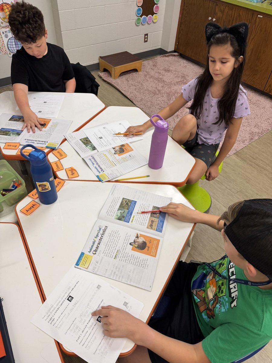 Katie Koch tweet media