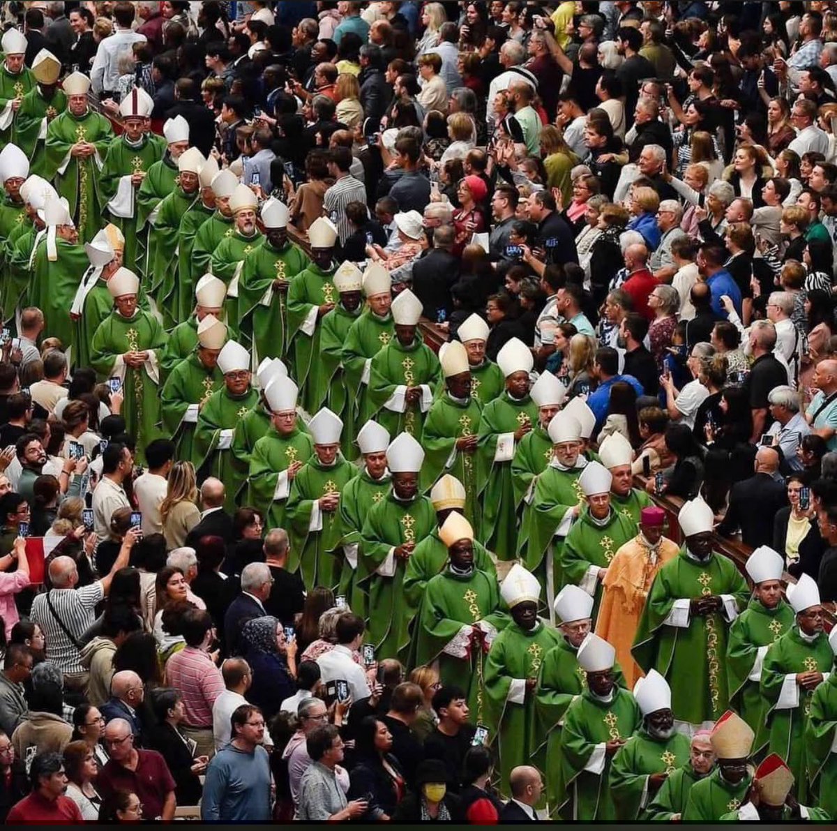 francis_isano's tweet photo. What a time to be a catholic ❤️ https://t.co/IqQGKy479q