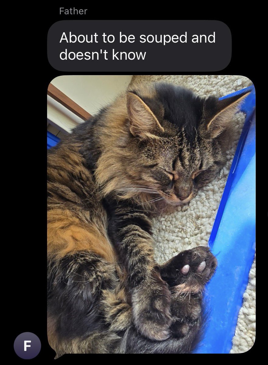 My family threatens to throw soup at the cat to make my mom mad