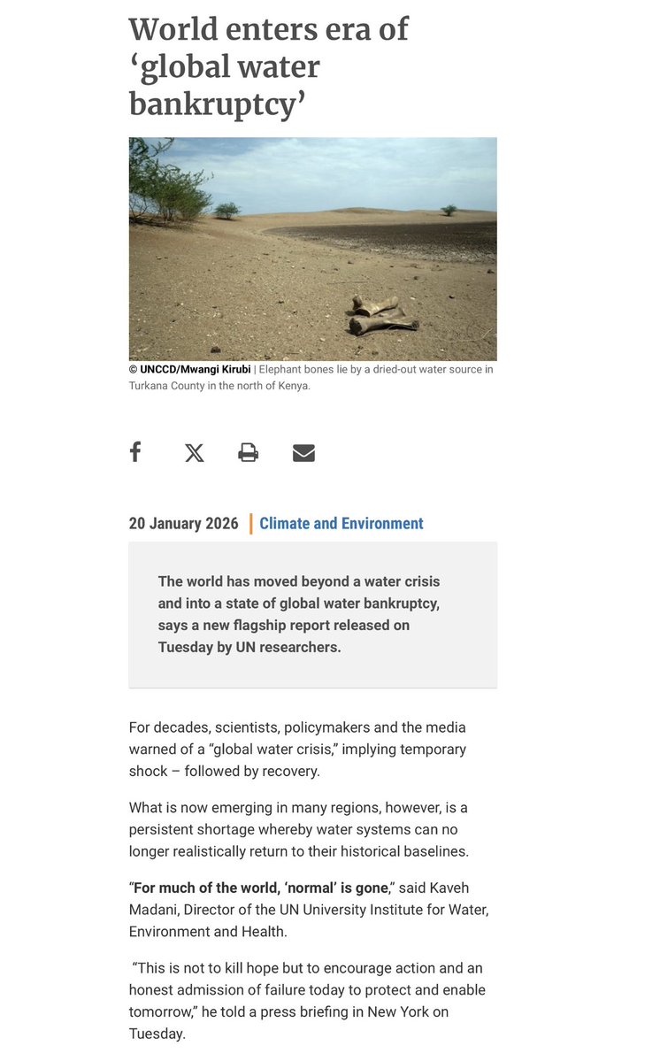 Lureon.3d tweet media