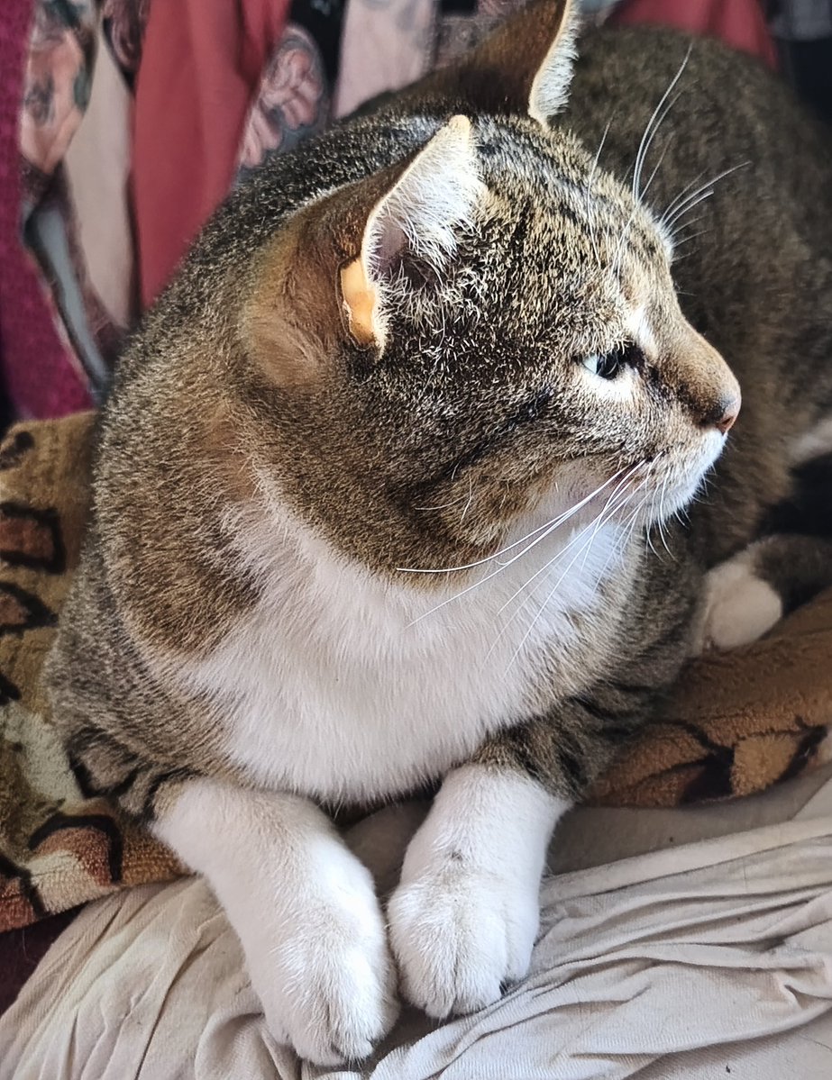 Linda tarde de viernes a toros . 
#FelizViernes #Ari