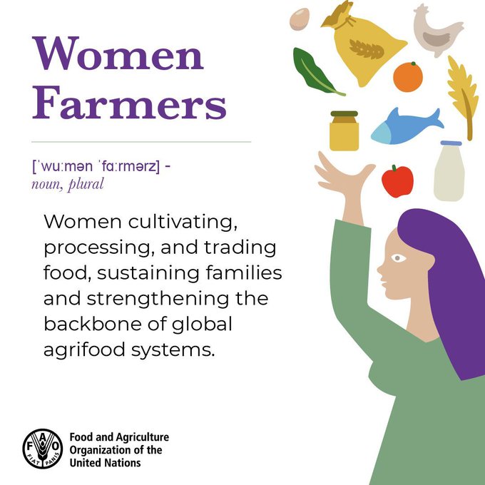 GlobalGoalsUN's tweet photo. Women farmers feed families, sustain livelihoods and strengthen our food systems. Their work supports communities and helps build a more sustainable, resilient future for all.

2026 is the UN International #YearOfTheWomanFarmer.

More from @FAO: https://t.co/5mVdGhj0sD https://t.co/HubaMQ9Bky