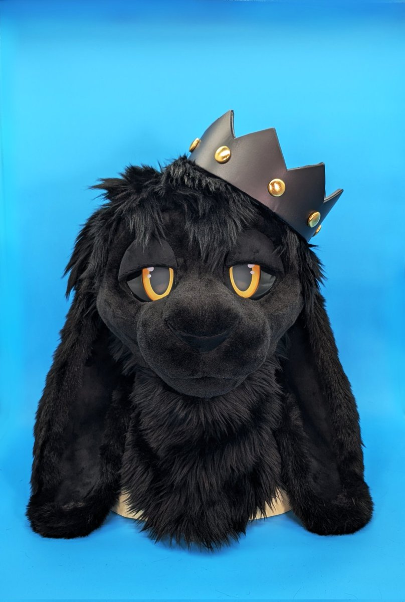 Fun-Fur-All tweet media