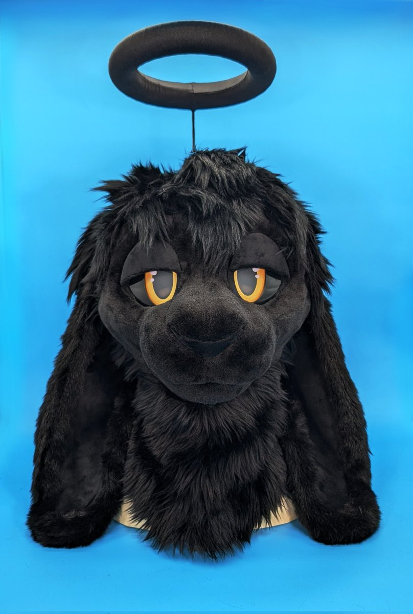 Fun-Fur-All tweet media