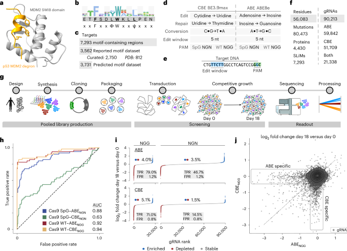 NatureStructMolBiol tweet media