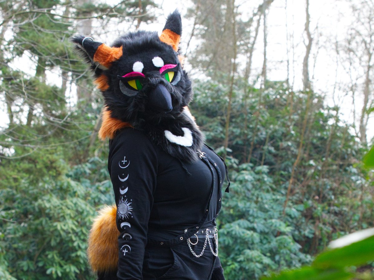 Gewoon crimineel tweet media