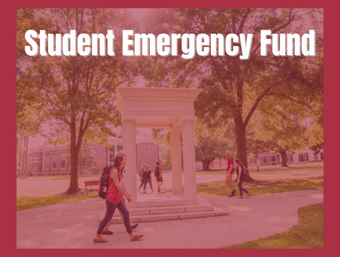 HSU Alumni tweet media