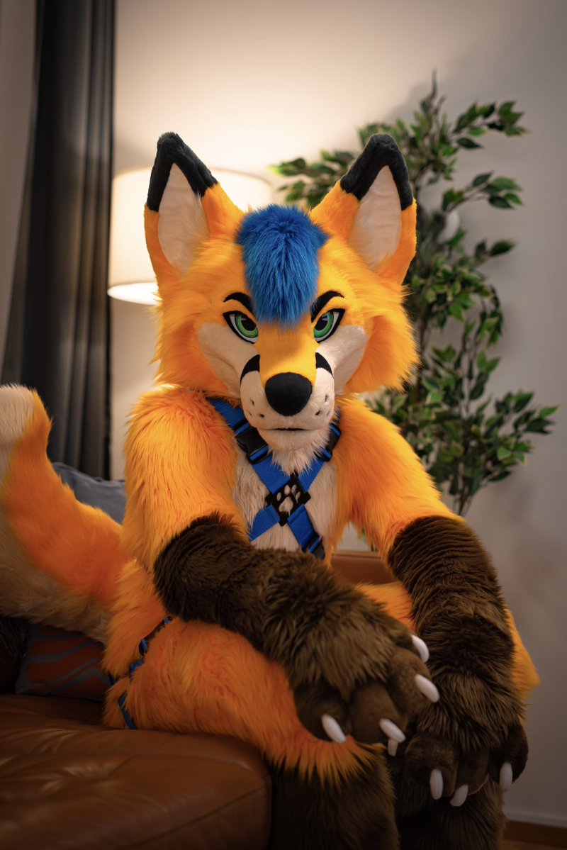 Electrix Fox tweet media