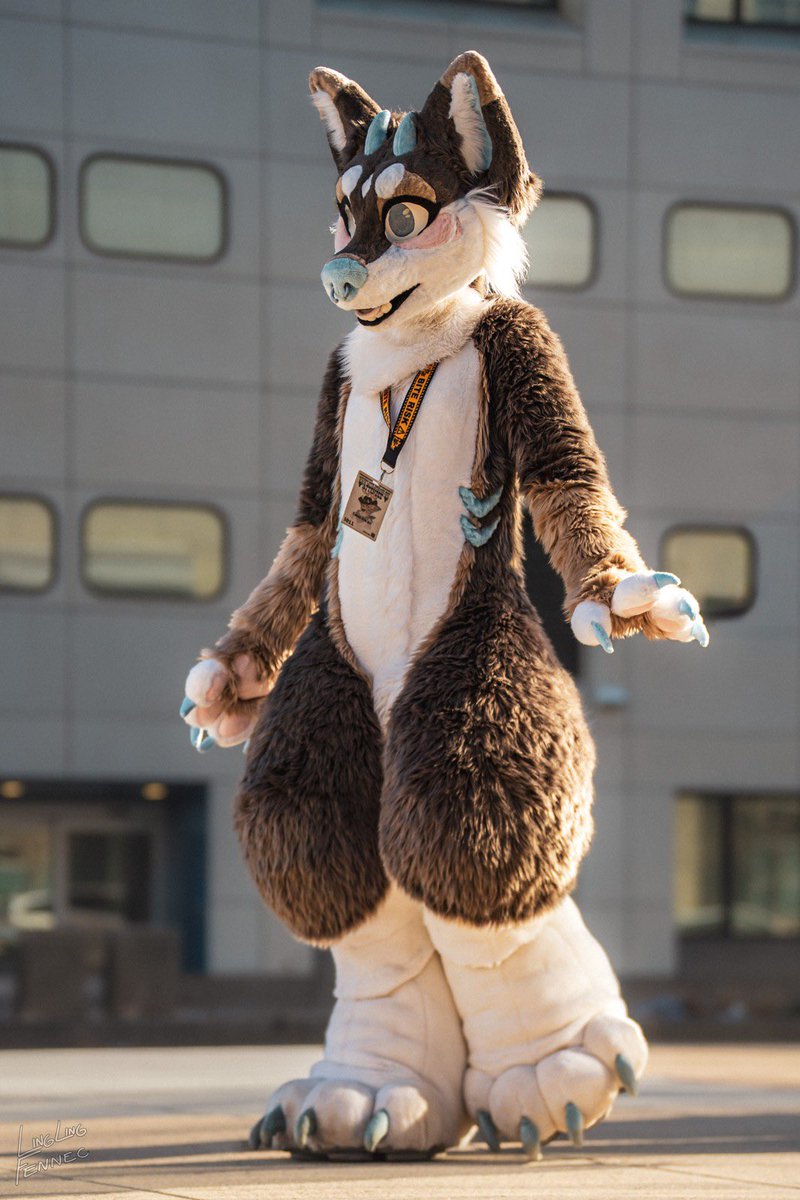 Maru 🤍 tweet media