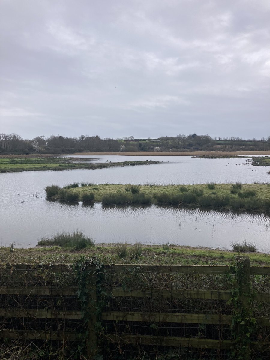 Mark Bailey tweet media