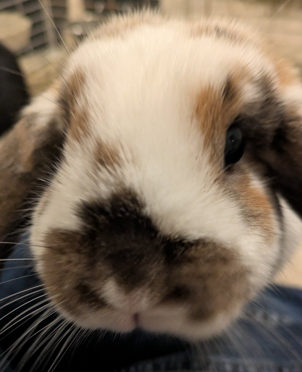 this goes hard feel free to screenshot