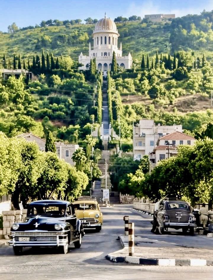 SWANA Insights tweet media