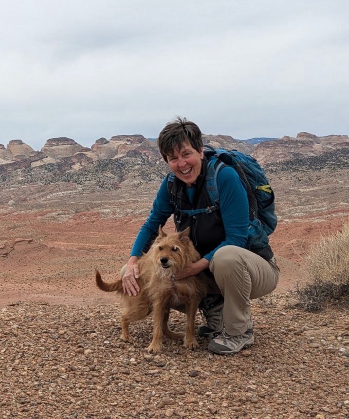 Andrew Adams tweet media