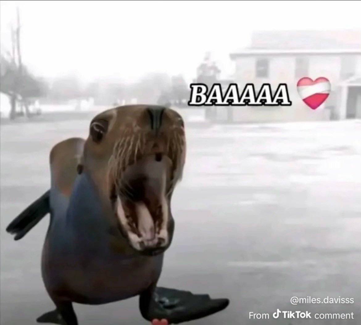 William Kortright tweet media