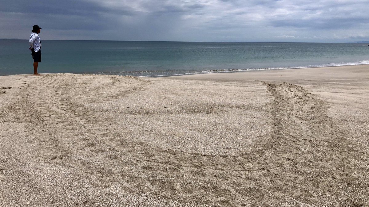 Equilibrio Azul tweet media