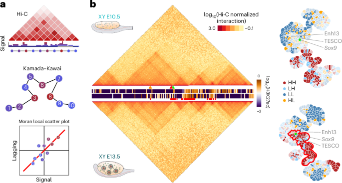 NatureStructMolBiol tweet media