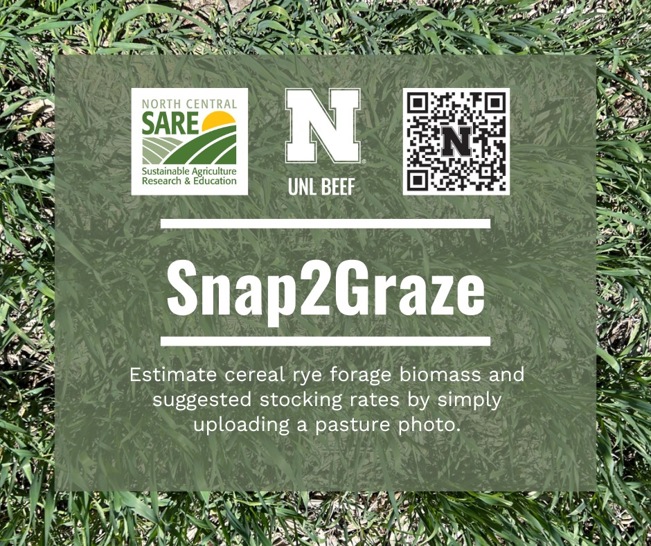 UNL Beef tweet media