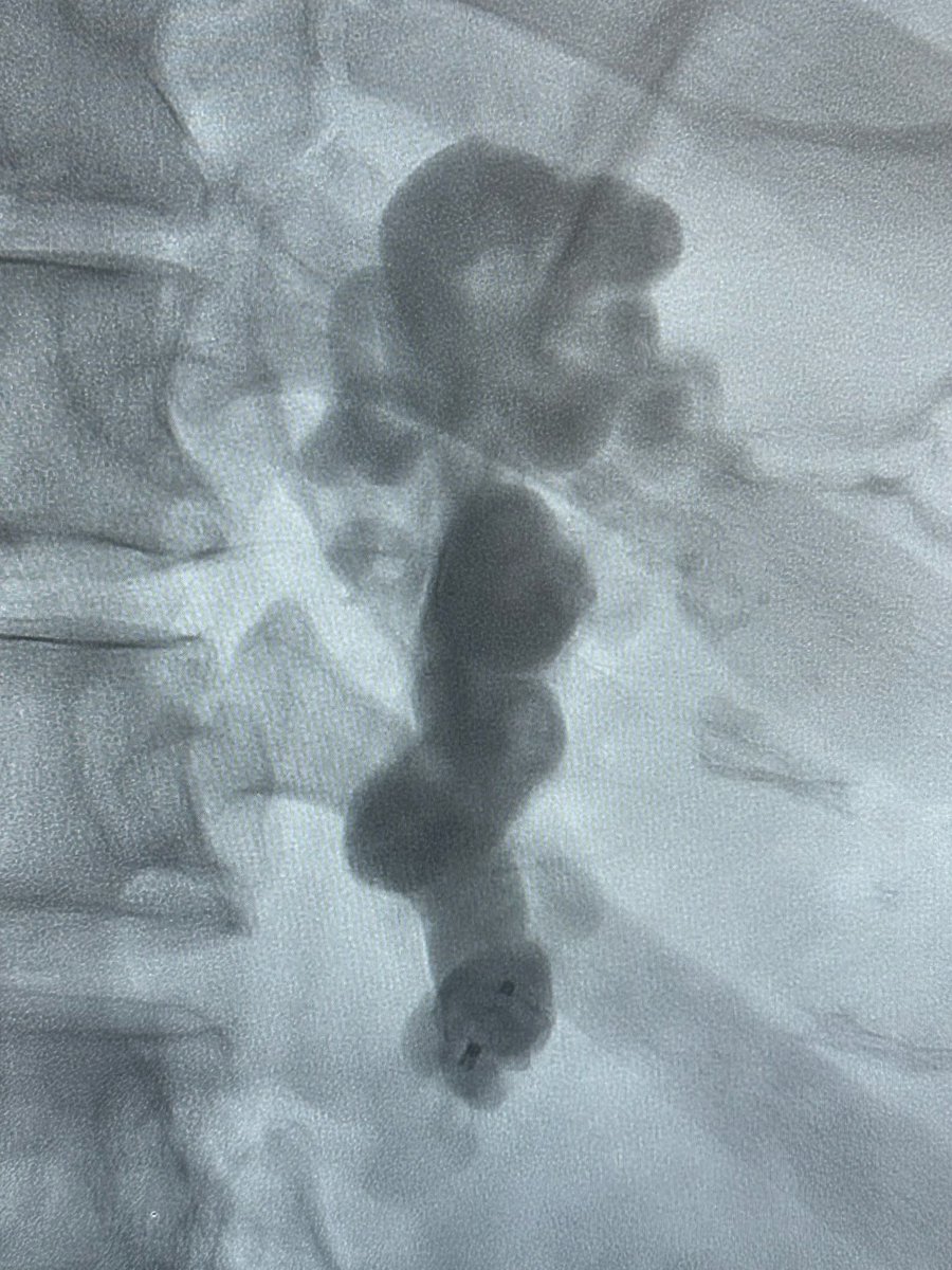 Phillip Guichet, MD tweet media