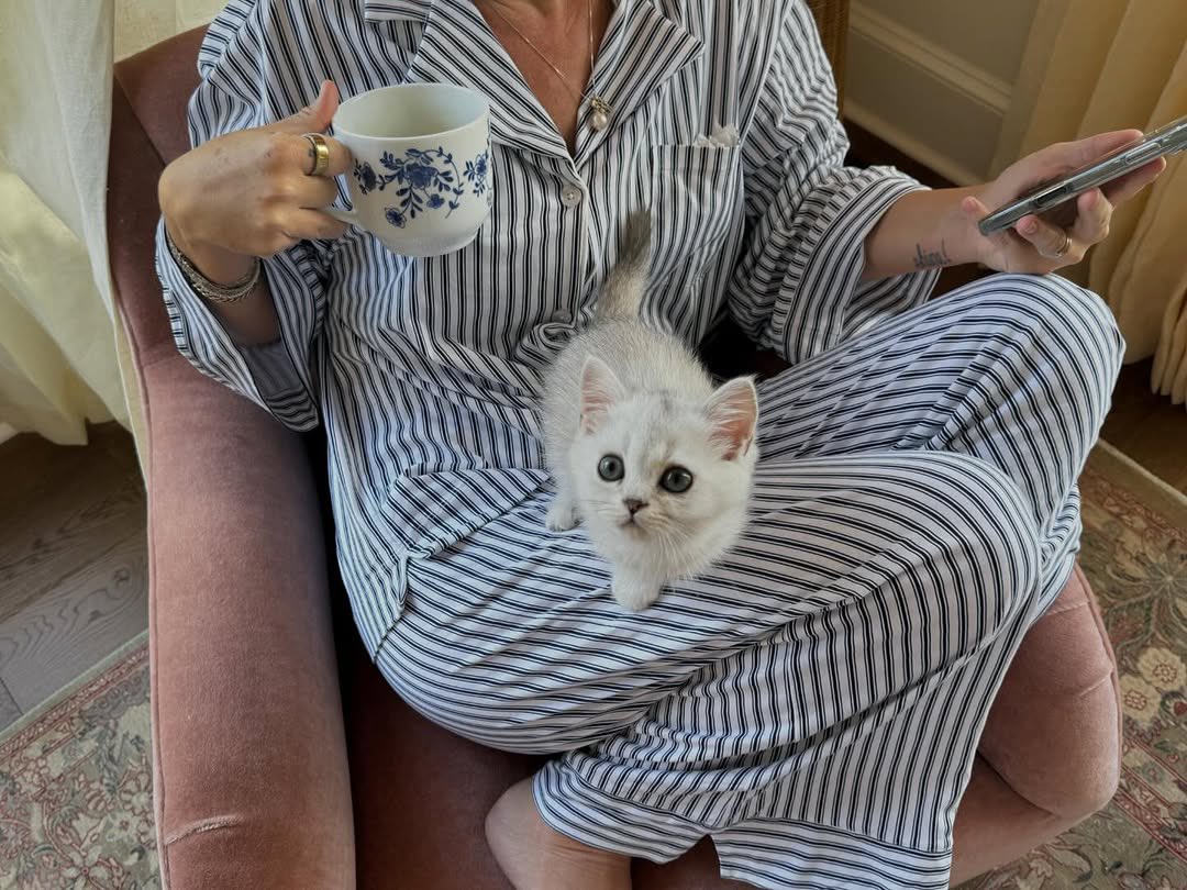 بحر 🌊 tweet media