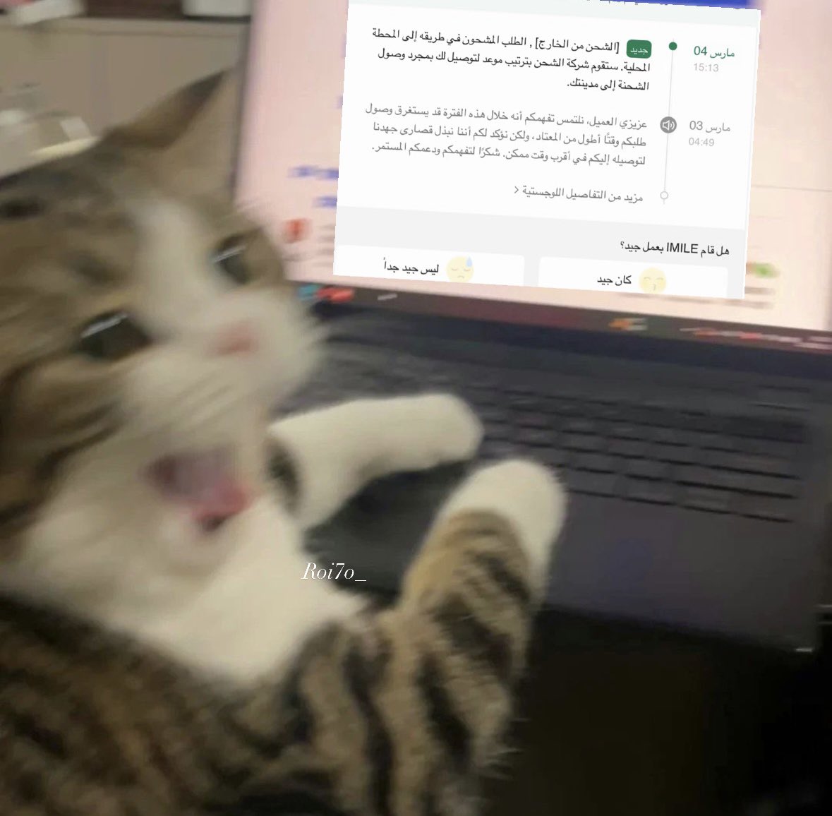 ‏قشطهَ tweet media