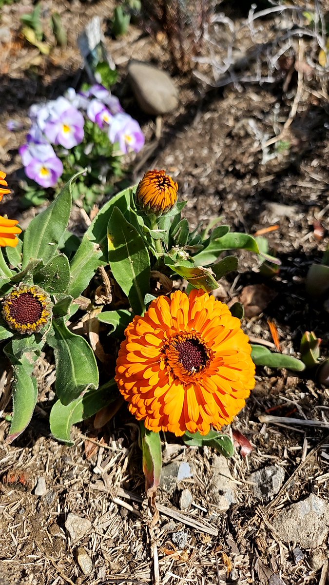 阿部博明 tweet media