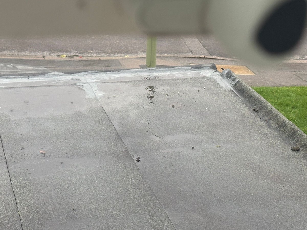 Daniel Smowton tweet media