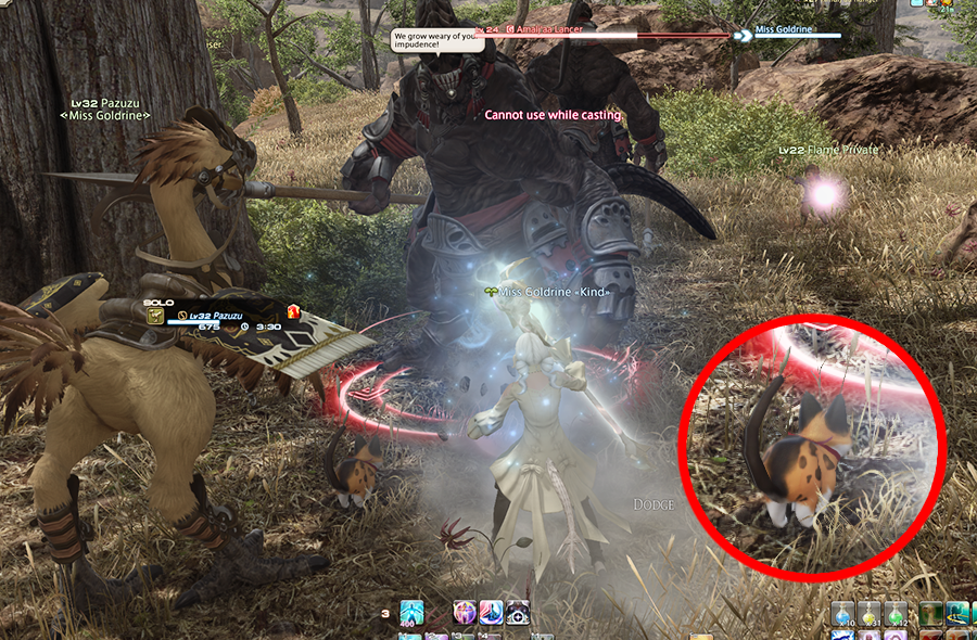 ɢ ᴏ ʟ ᴅ ʀ ɪ ɴ ᴇ tweet media