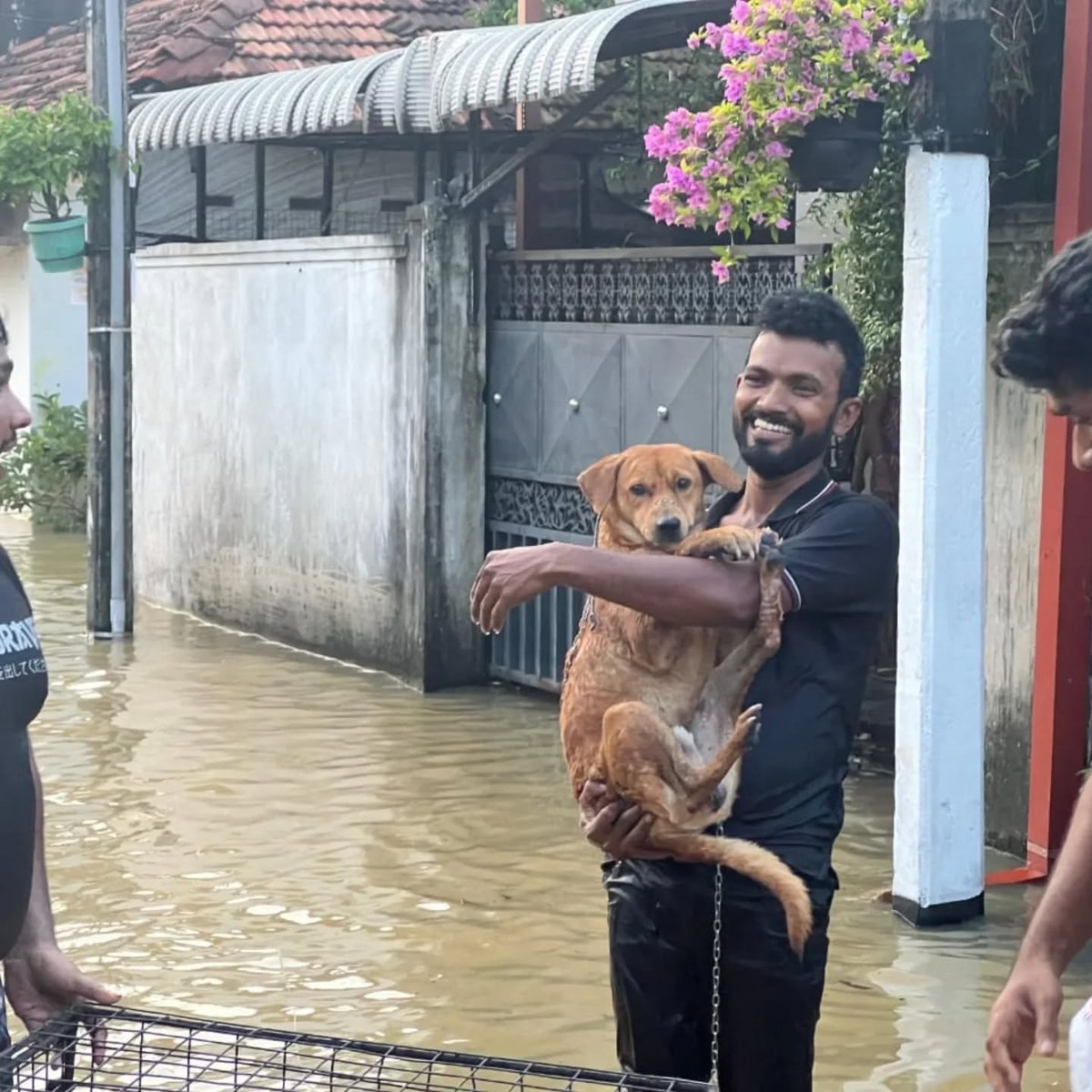 SPCA International tweet media