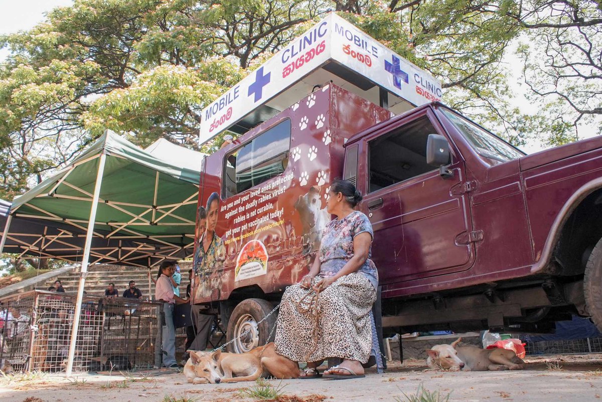 SPCA International tweet media