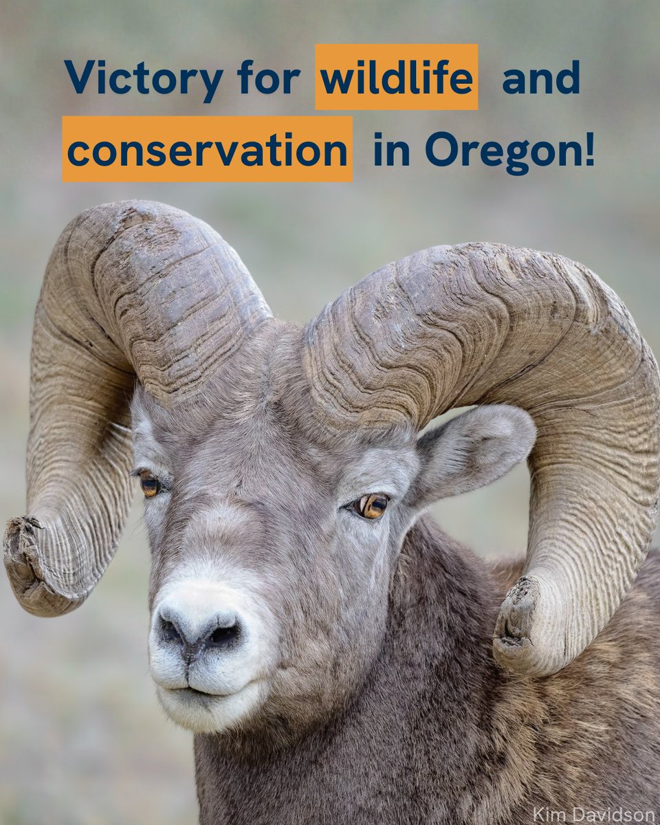 National Wildlife Federation Action Fund tweet media