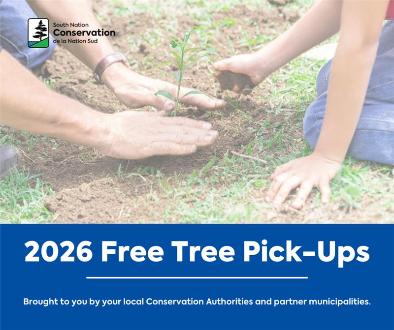 southnationca tweet media