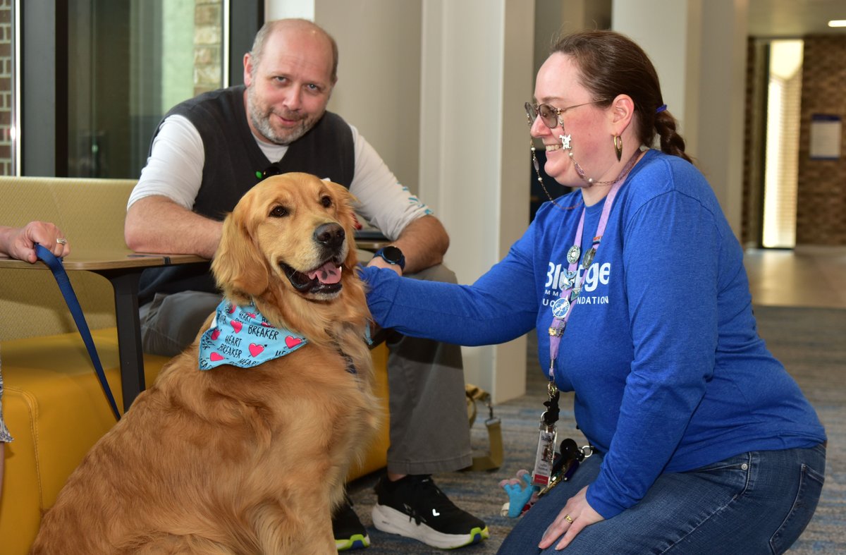 Blue Ridge Community College tweet media