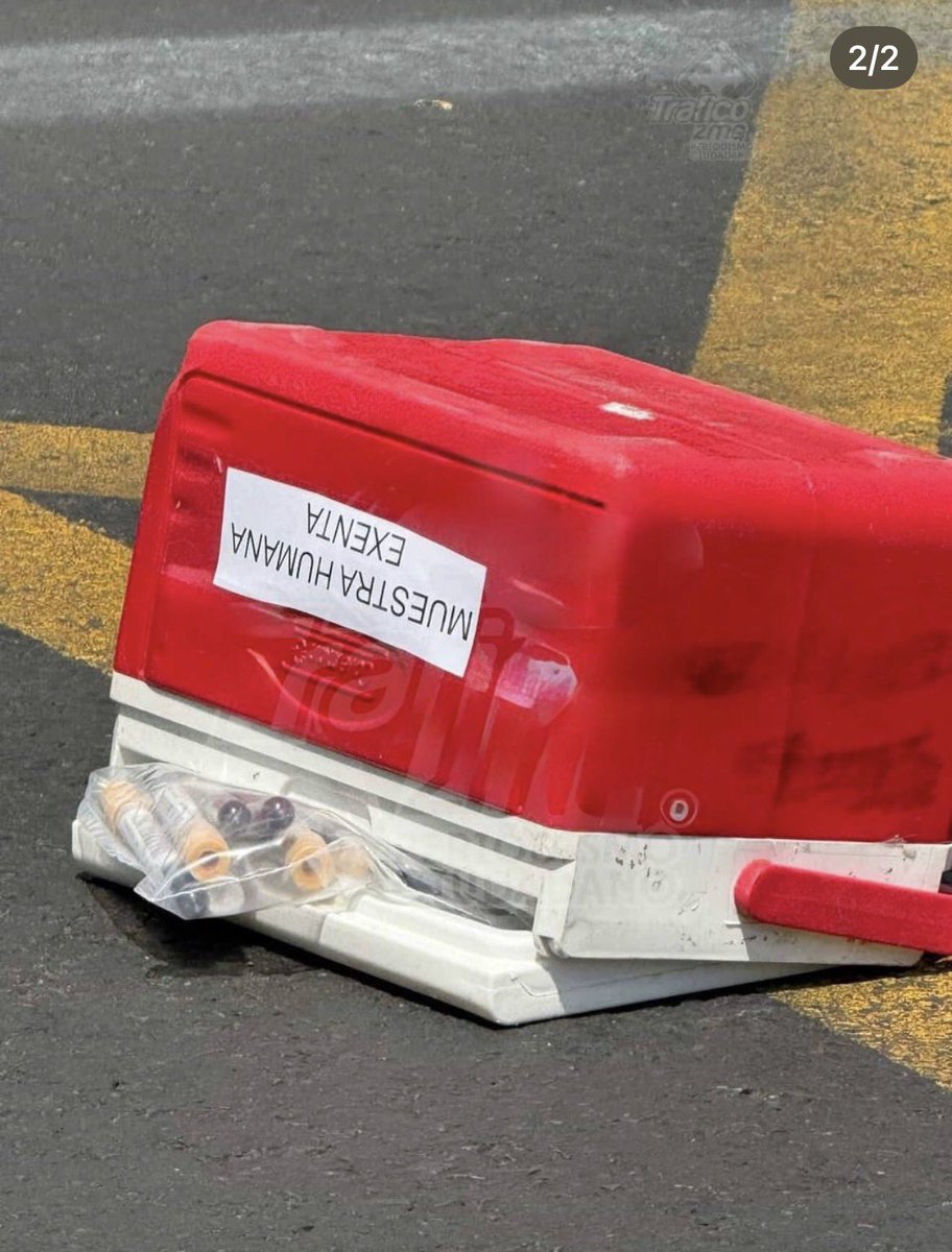 Inshallah 🎶 tweet media