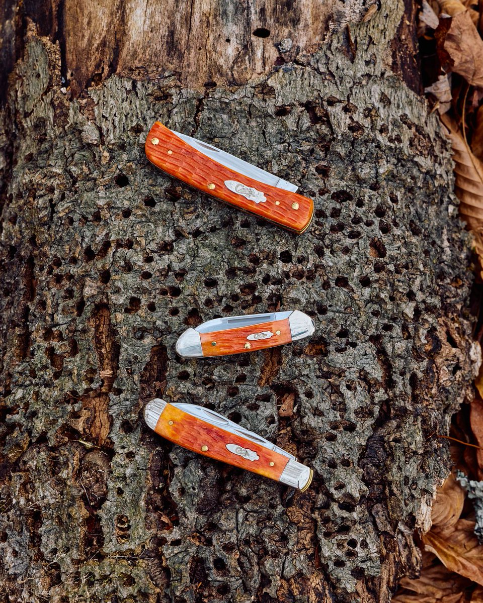 Case Knives tweet media
