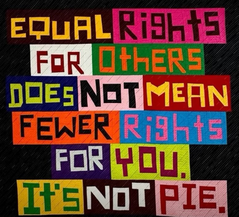 Braddock Democrats 🌊 tweet media