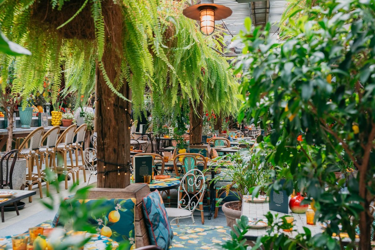 Buru and The Old People tweet media