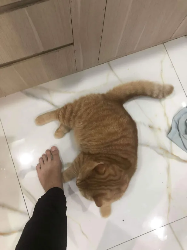 THINK/WINGY tweet media