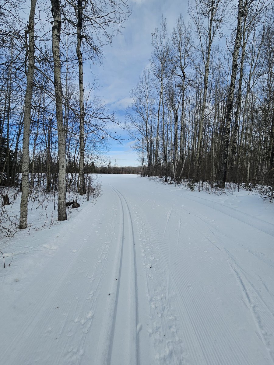 M_OldNormalBack's tweet photo. Second day, wish it was good xc ski conditions all winter 😅 bye snow tomorrow 🤣 https://t.co/KVZV7FKEiT