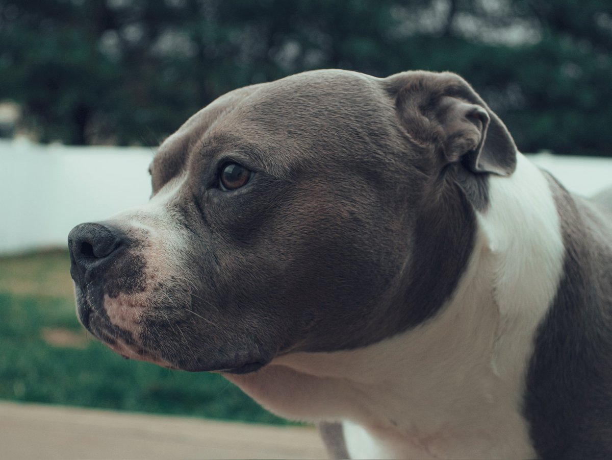 ⋆ 𝐎𝐍𝐈 ⋆ tweet media