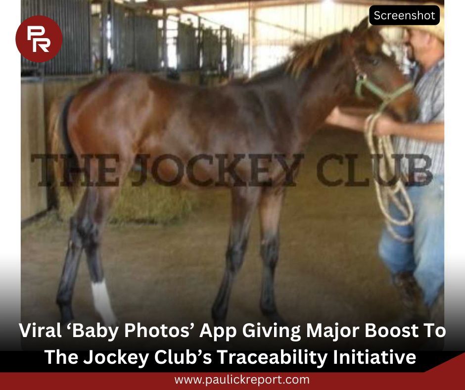 Paulick Report tweet media