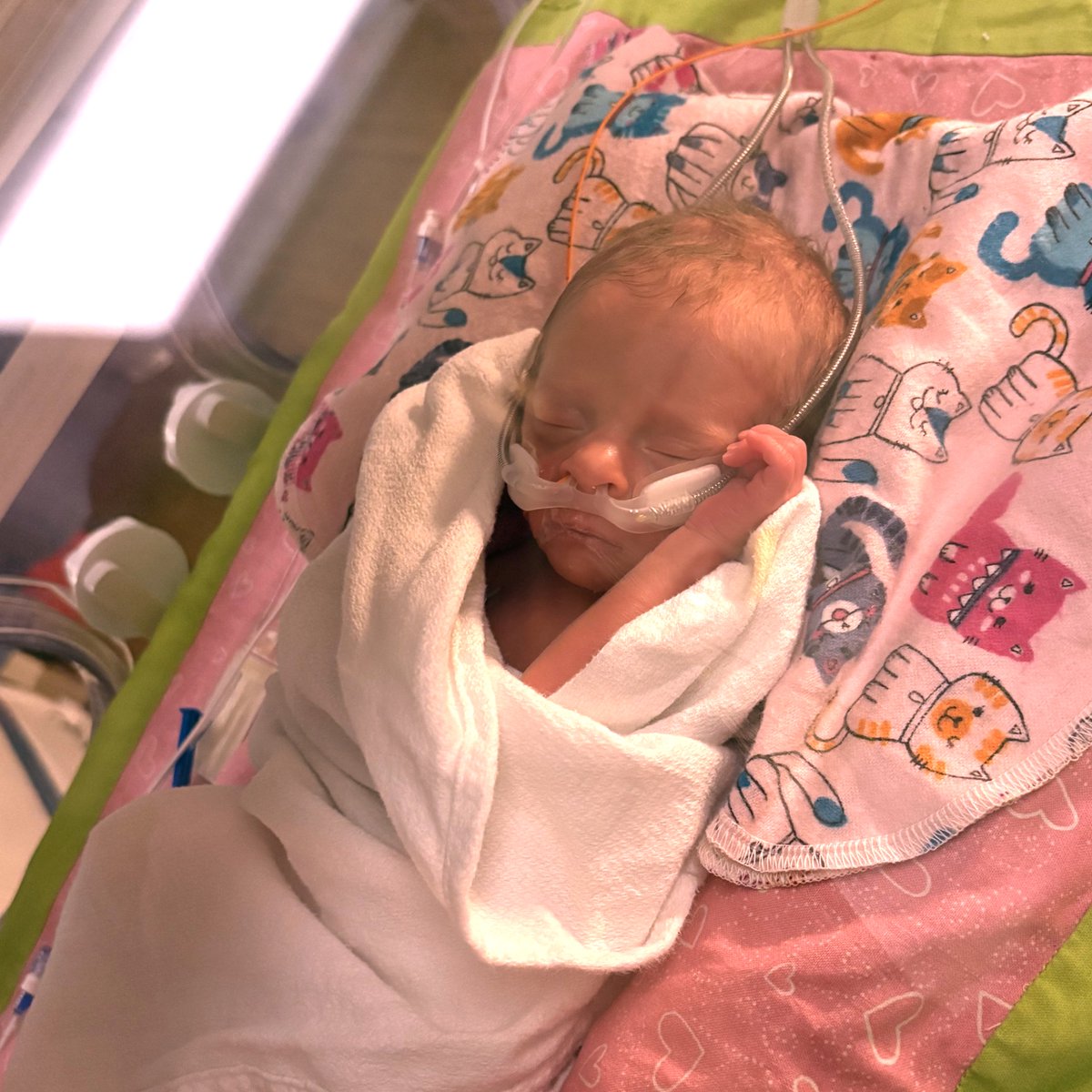 IvinsonHospital tweet picture