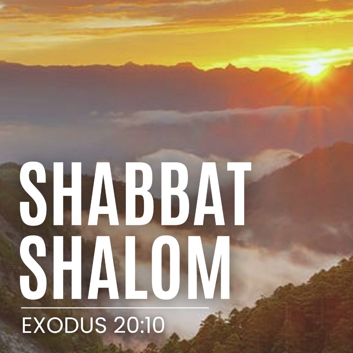 Refuge Medical & Training tweet media