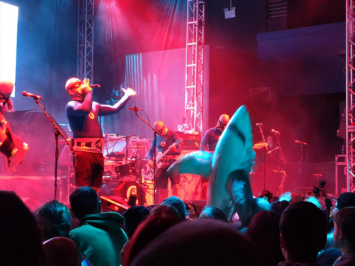 The Eternal Hoptimists tweet media