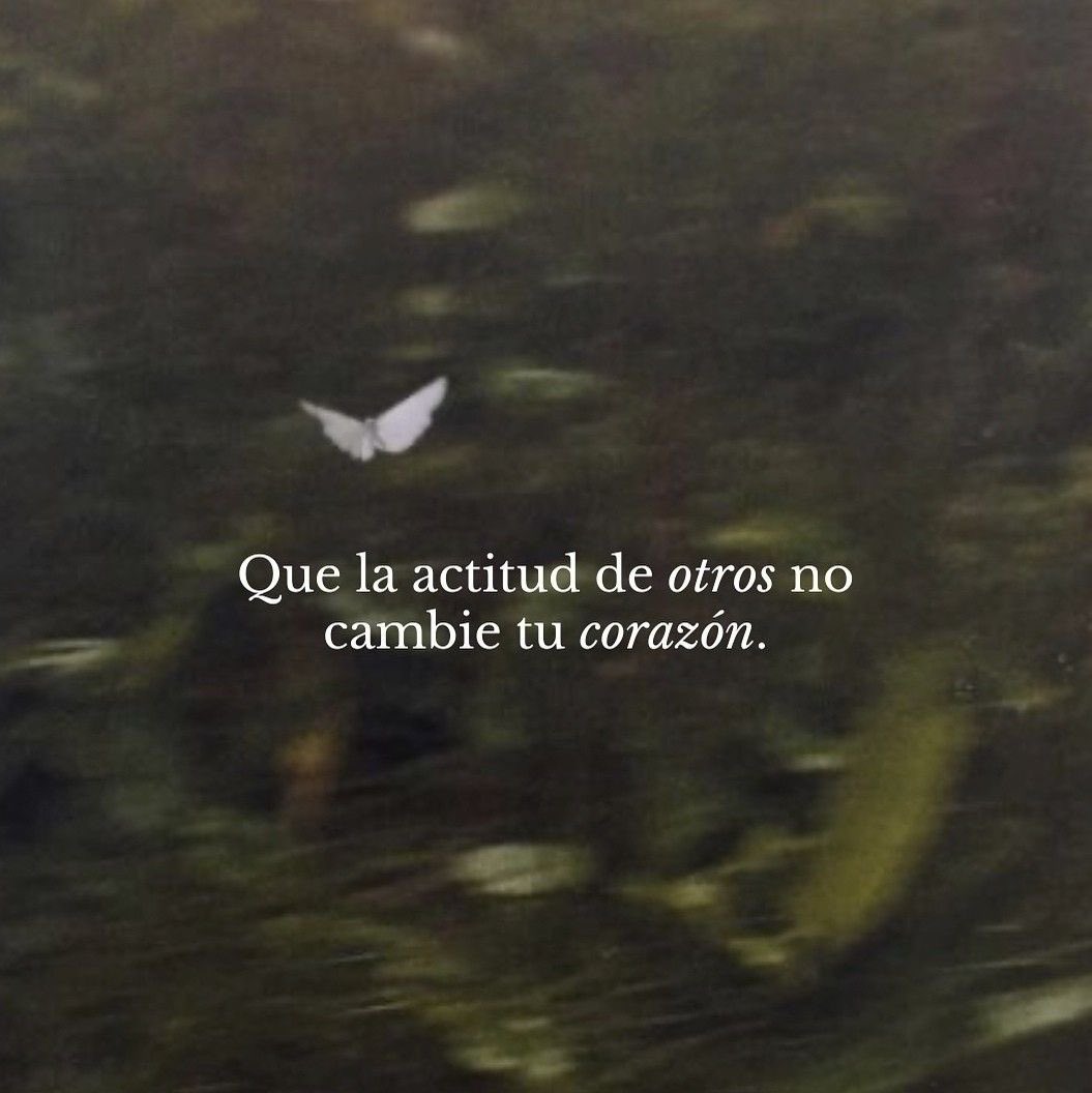FraseSimple's tweet photo. https://t.co/mhvwx8exAw