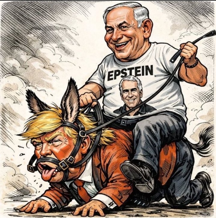 mertmustafa606's tweet photo. @BasedSamParker #killertrump https://t.co/CsbjELOiwc
