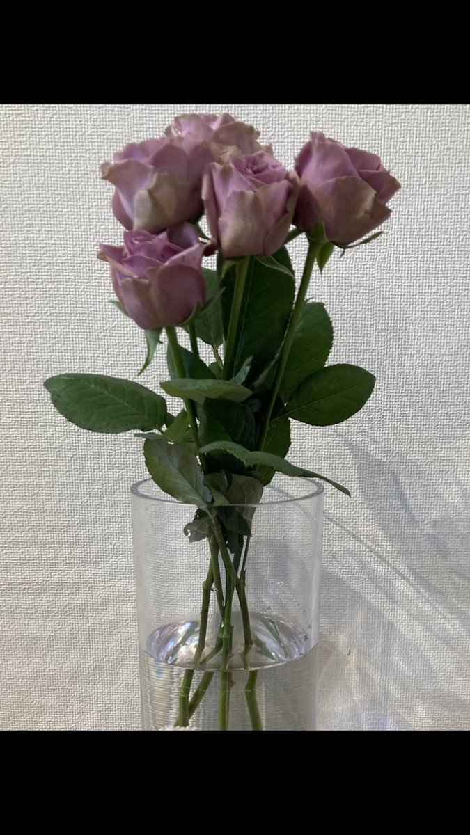 Chie86870's tweet photo. 菊池風磨様💜風磨くんの優しさにいつも救われてます✨カッコ良くて愛のある風磨くんが大好きです💕ご多幸とご健康を祈っています✨

 #菊池風磨誕生祭2026
 #菊池風磨HBD31 https://t.co/PQDBYb8RCH